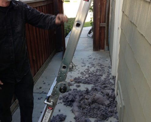 dryer-vent-cleaning Dryer Vent Cleaning Service