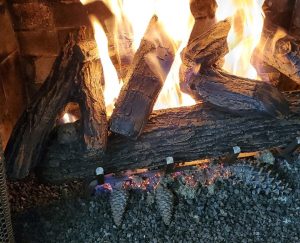 Fireplace logs insert